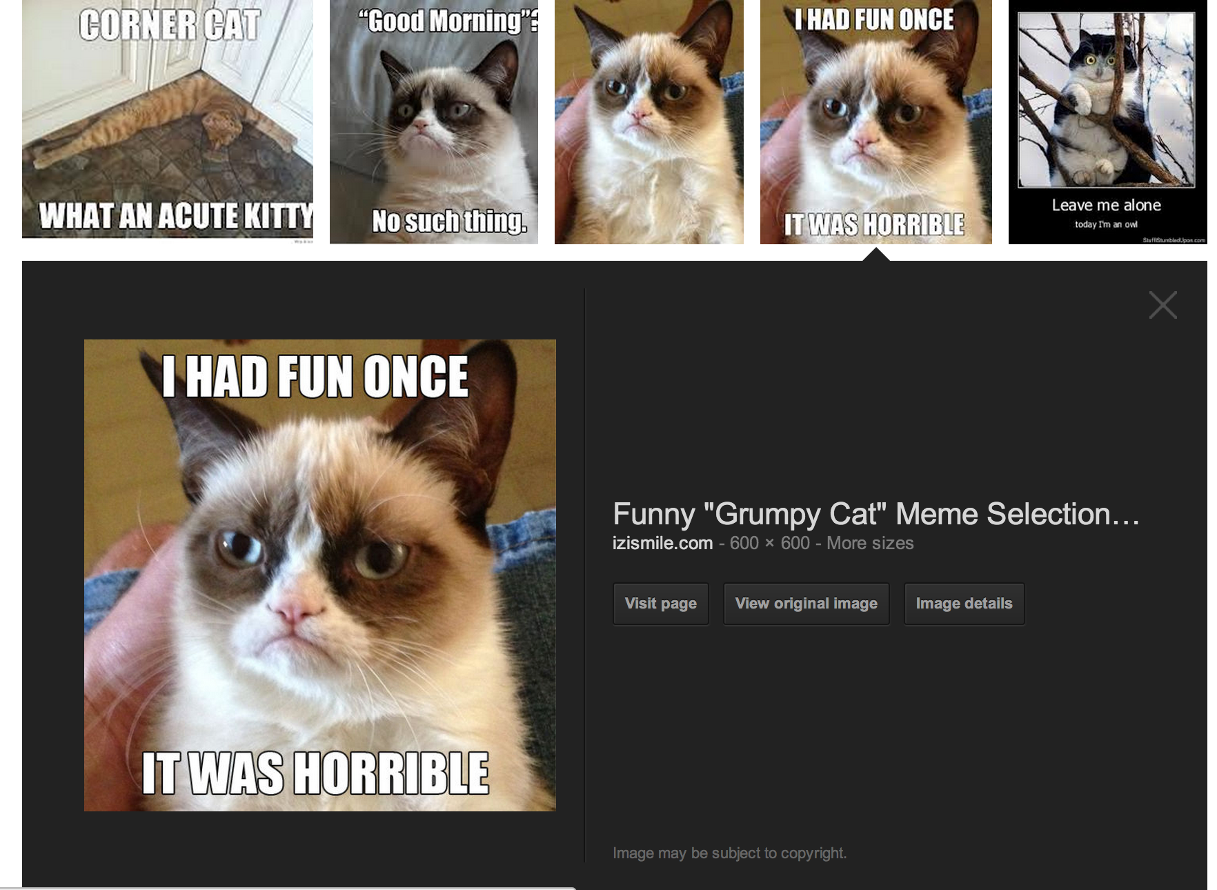 An example of what google image search looks like